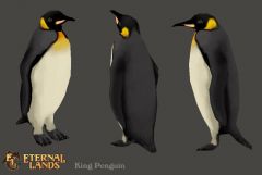 kingpenguin.jpg