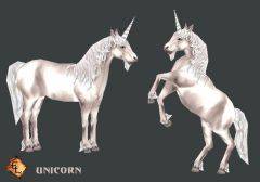 unicorn2.jpg